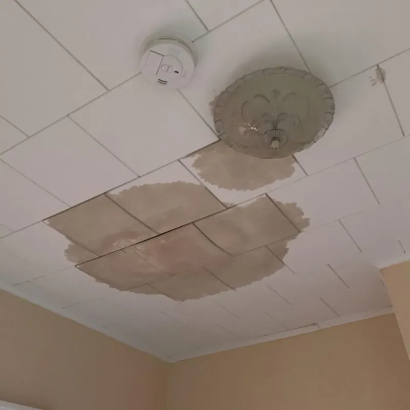 Ceiling Water Damage Repair in Oakes, ND
