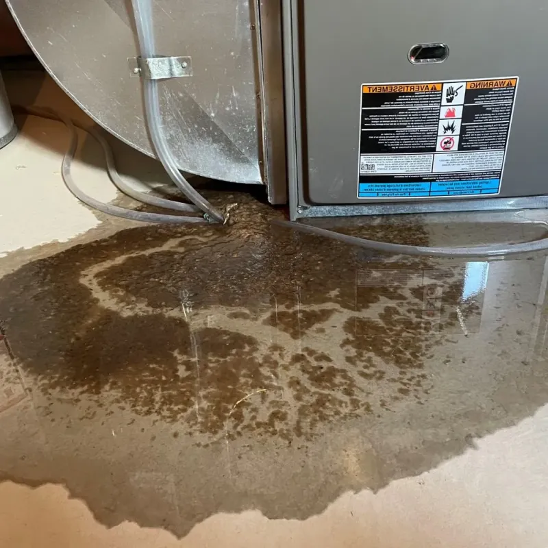 Pipe Burst and Leak Restoration in Oakes, ND