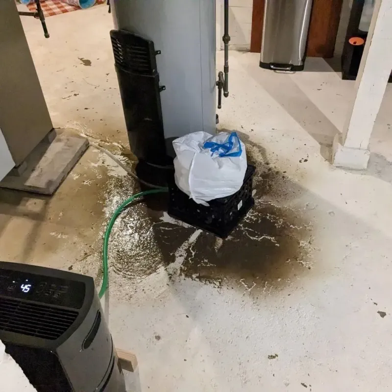 Sewage Backup Cleanup Service in Oakes, ND